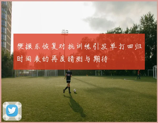 樊振东恢复对抗训练引发单打回归时间表的再度猜测与期待